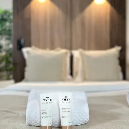 Apartman Spacious Studio In Saint-germain-des-pres *